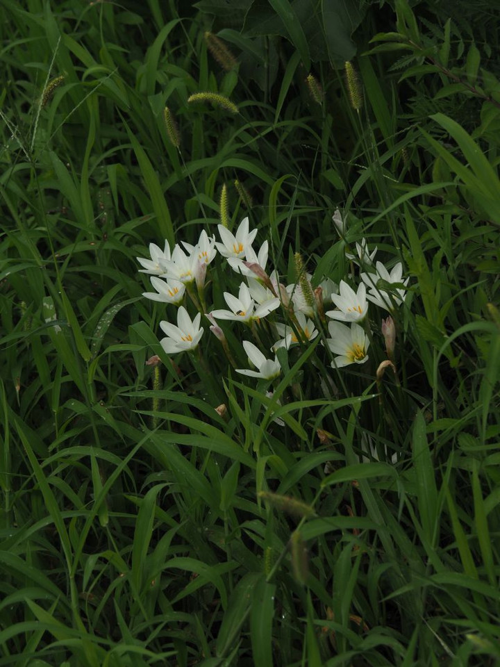 P9050228