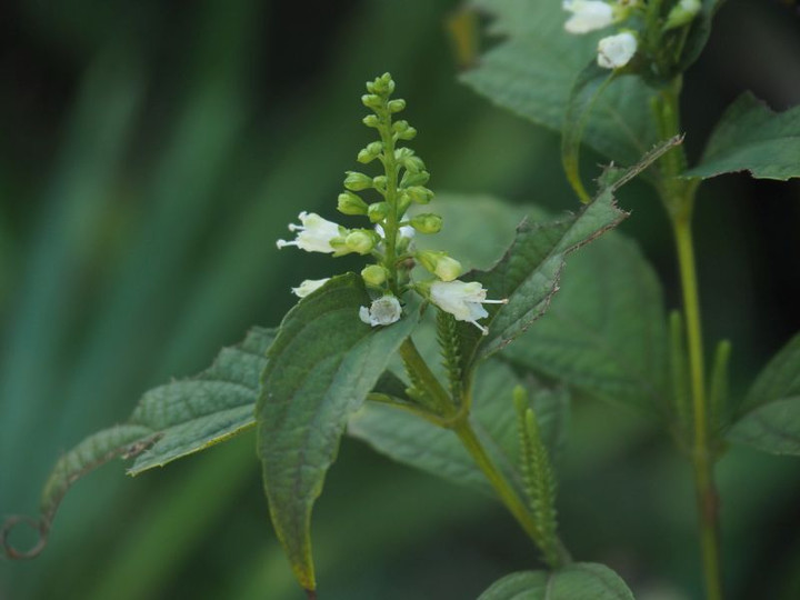 P9060240