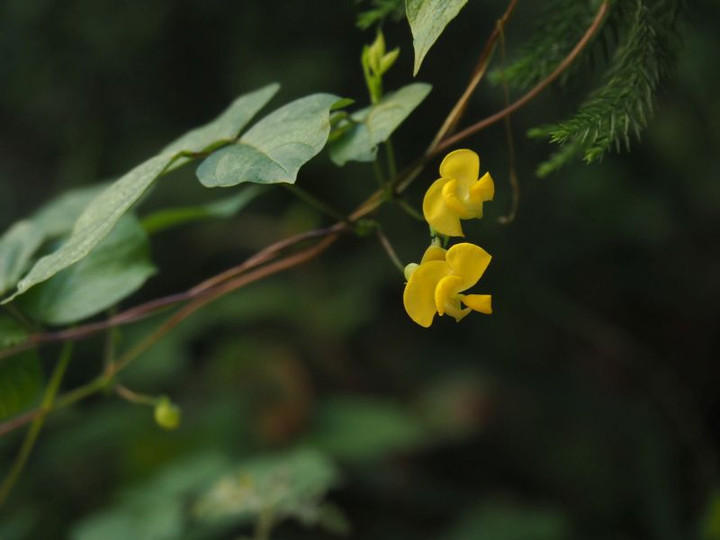 P9060245