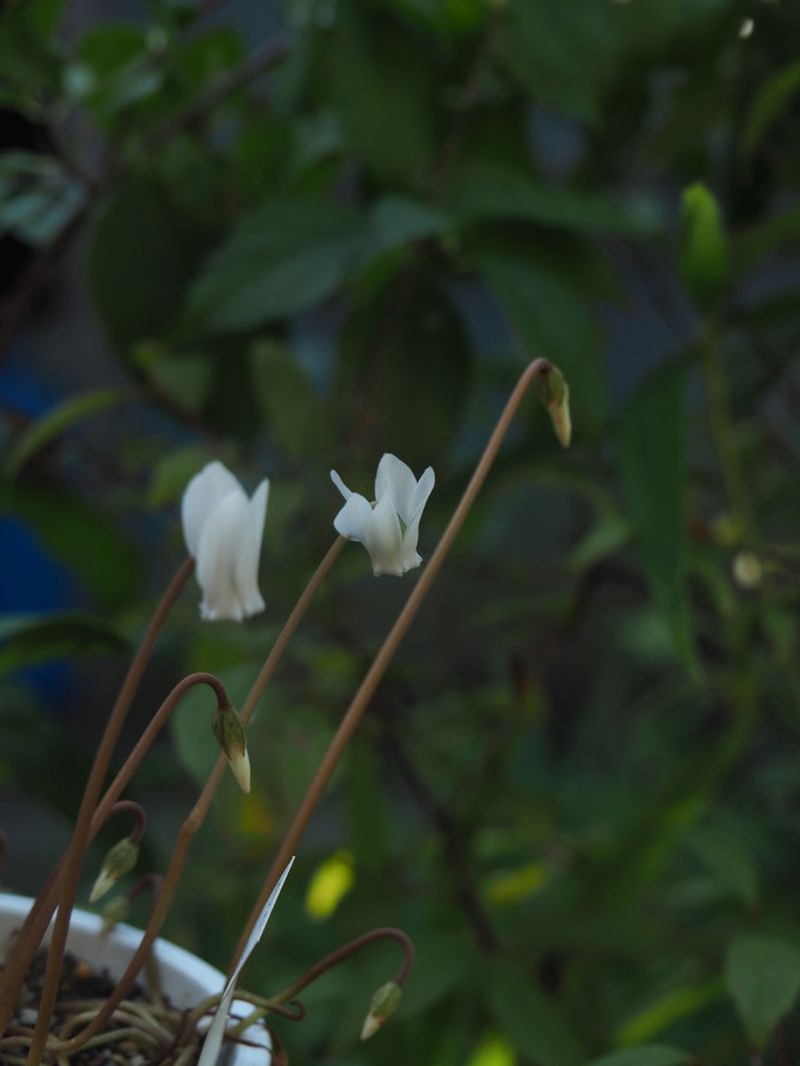 P9070270