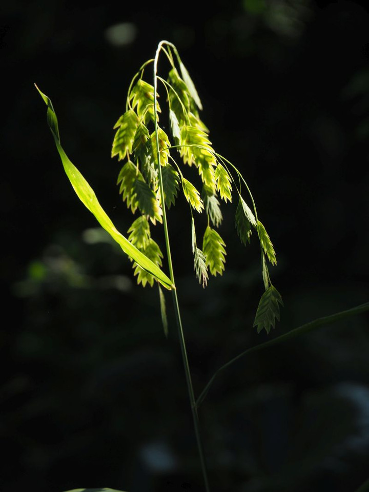 P9090308