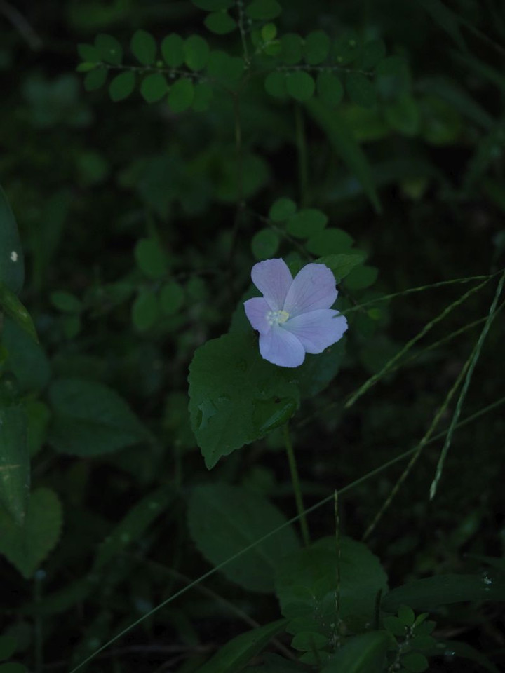 P9090311