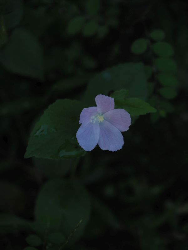 P9090312