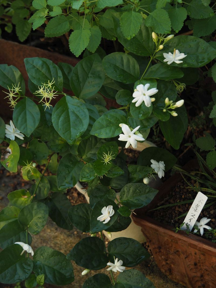 P9100316