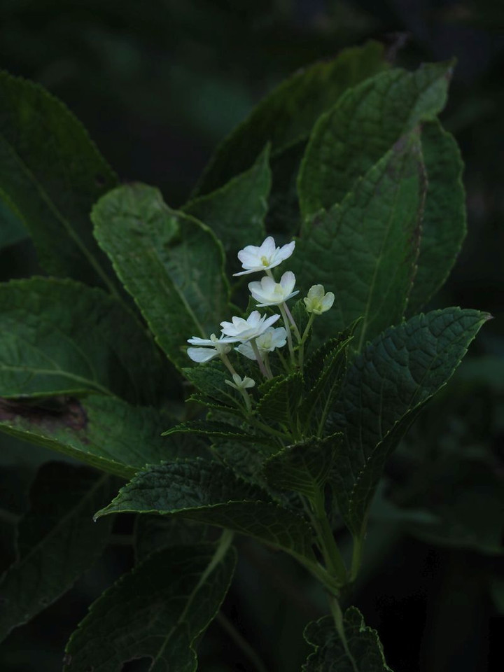 P9100317