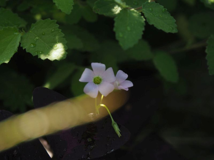 P9100319