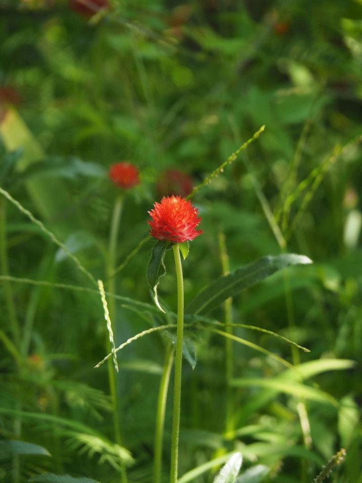 P9100320