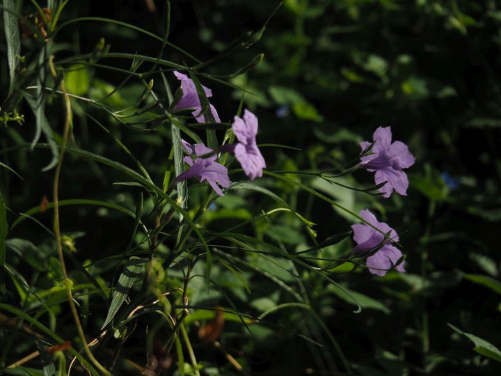 P9100321
