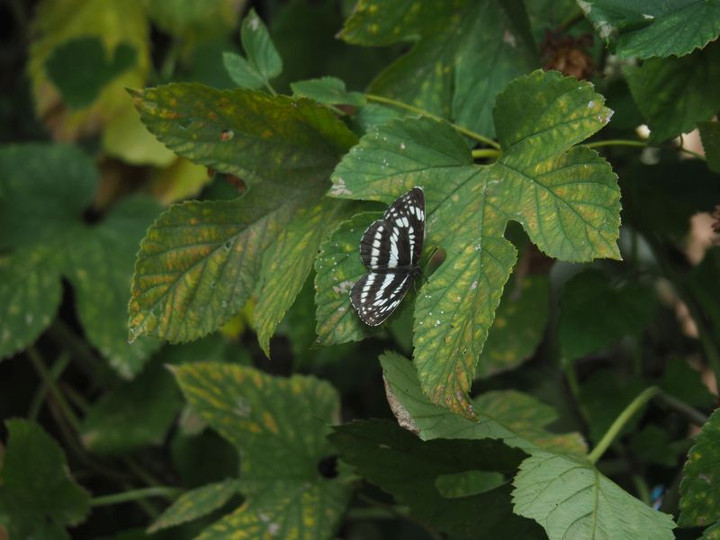 P9110328