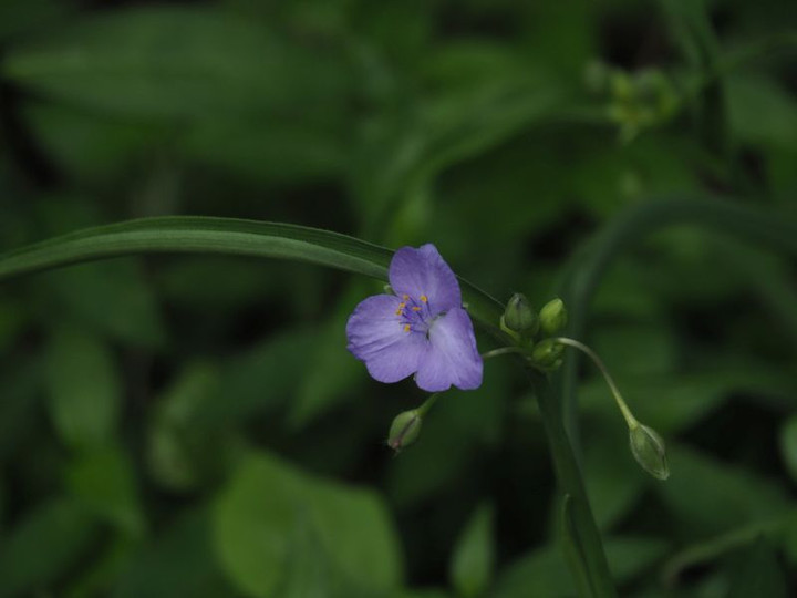 P9120330