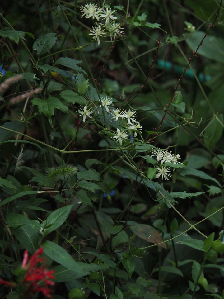 P9120333
