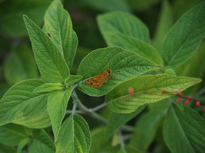 P9120335