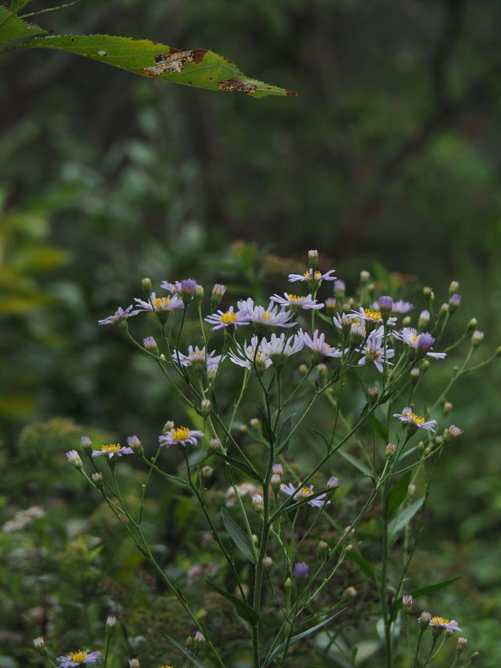 P9120338