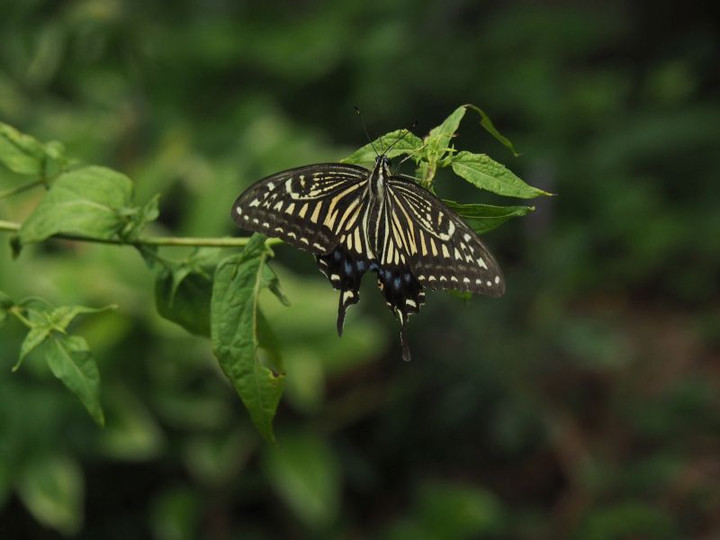 P9130357