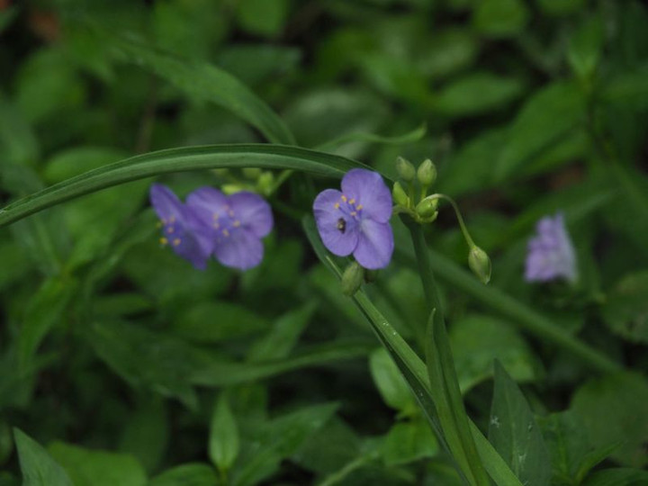P9130358