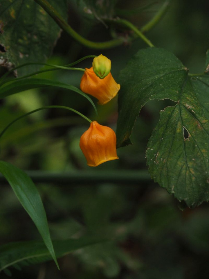 P9130361