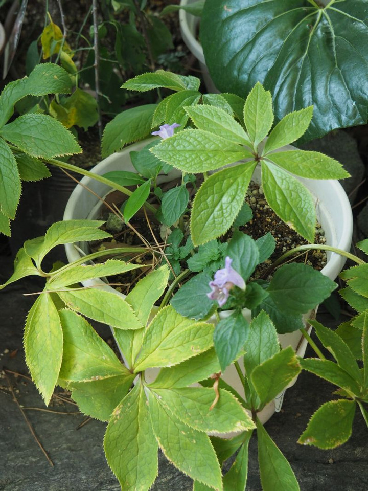 P9140373