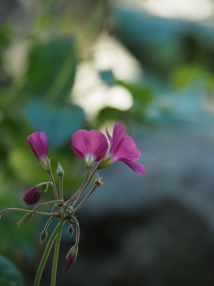 P9140376