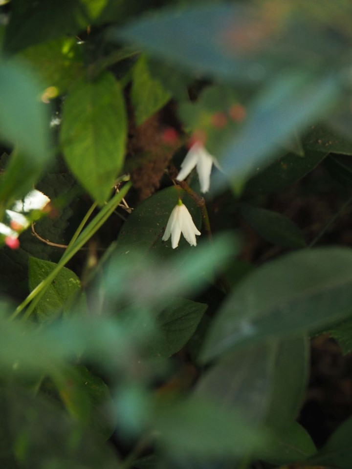 P9140384