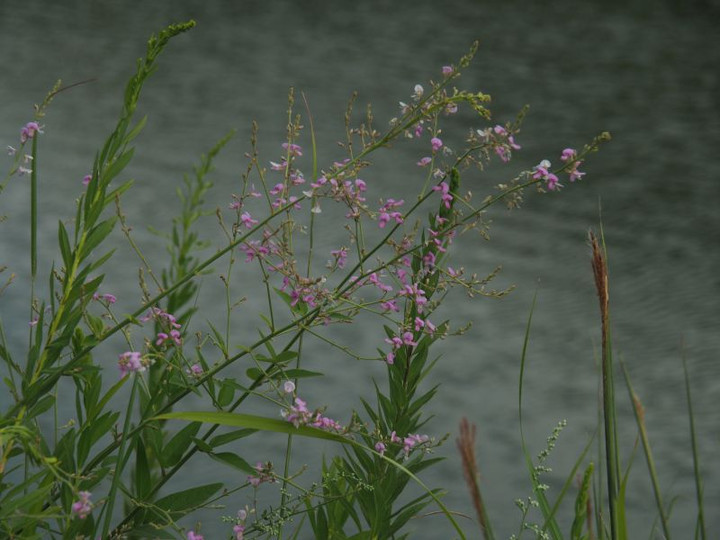P9140390