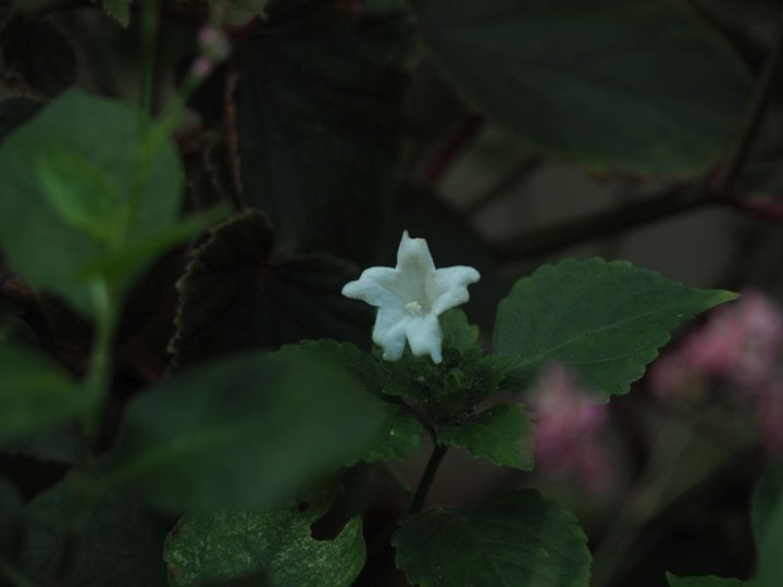 P9150394