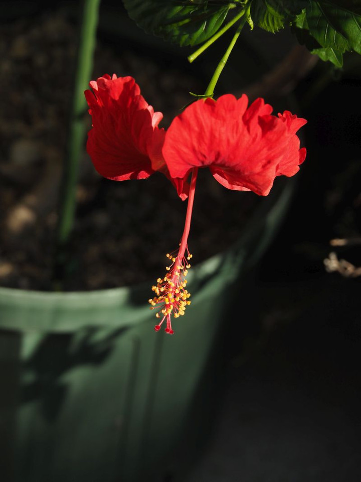 P9150397
