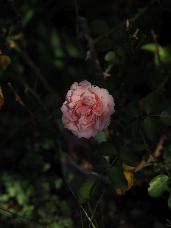 P9150398