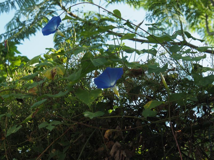 P9150401