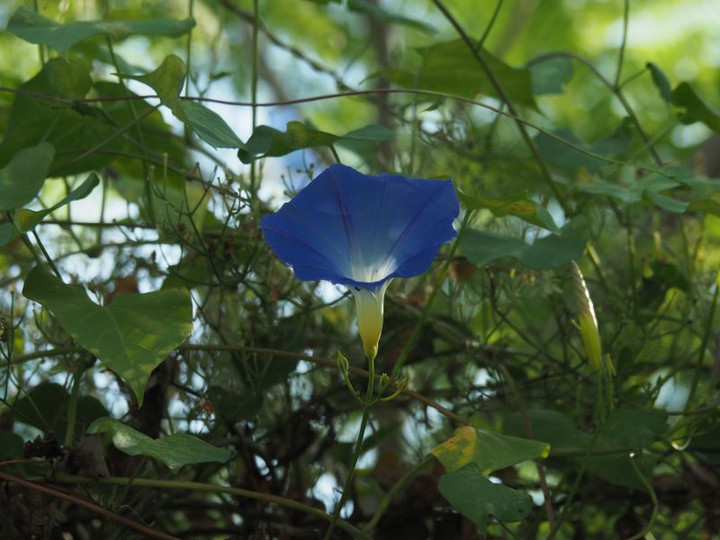 P9150402