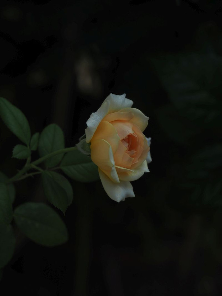 P9170414