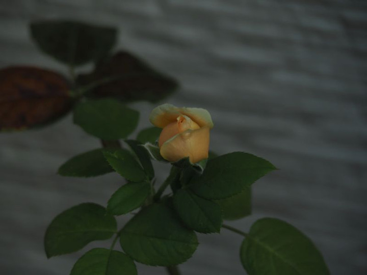 P9170416