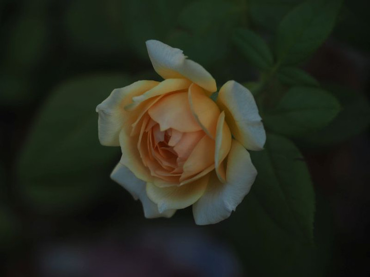 P9170417