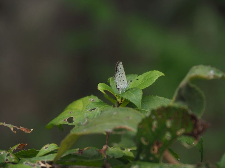 P9180427