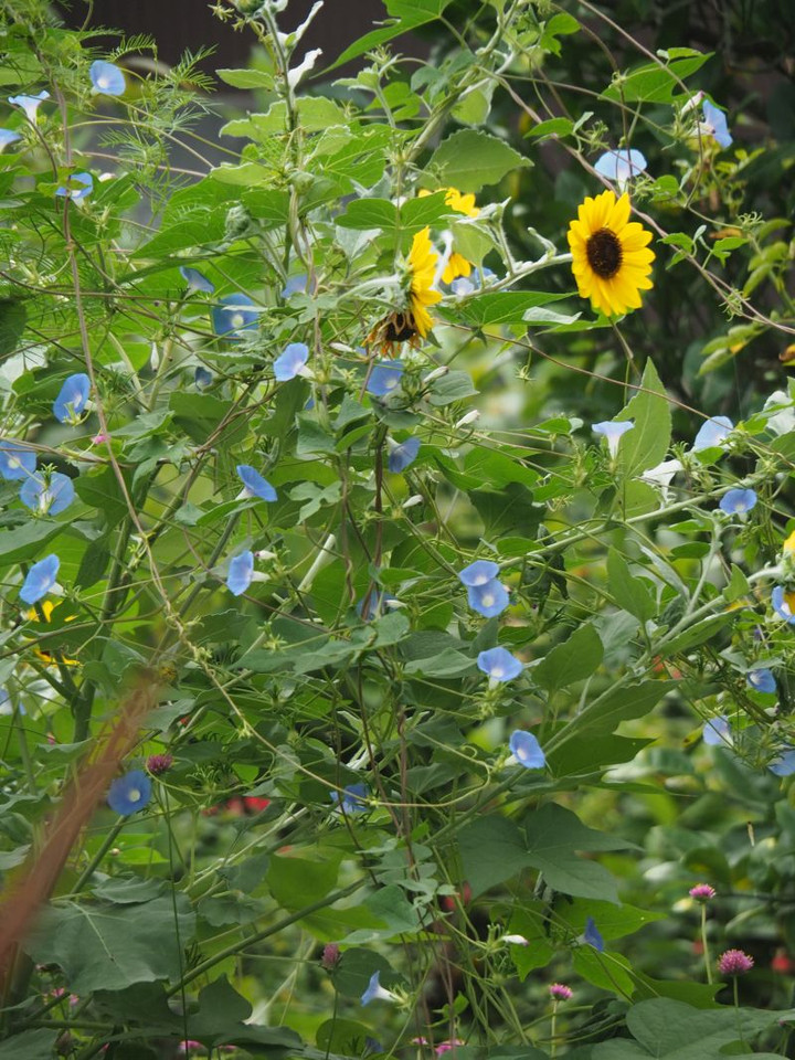 P9190441
