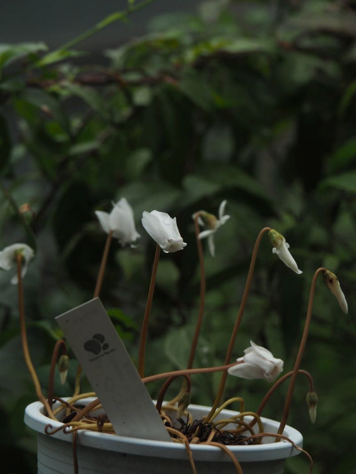 P9210482