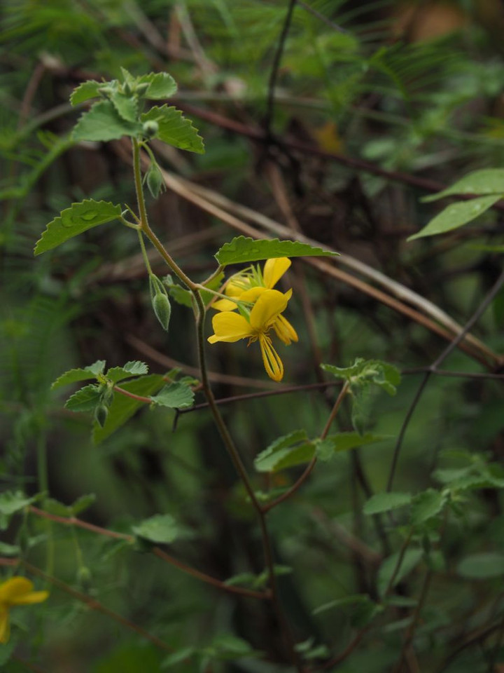 P9210487
