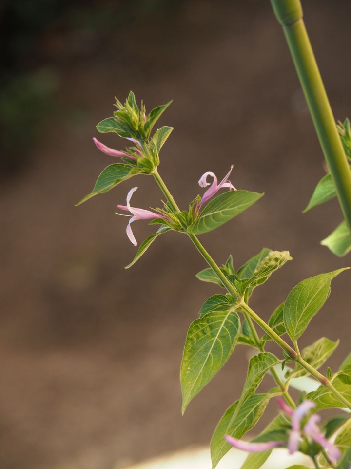 P9230512
