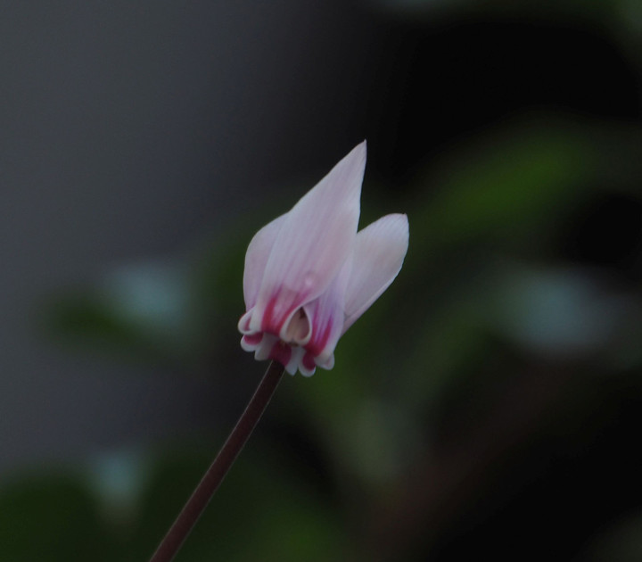P9250535