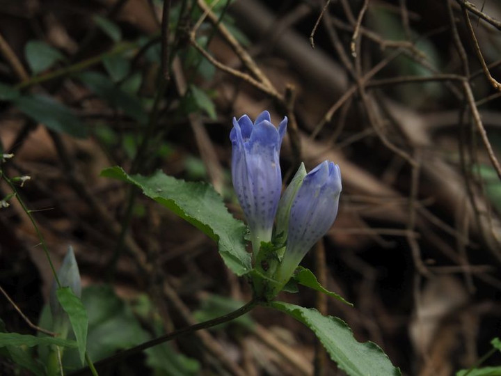 P9250641