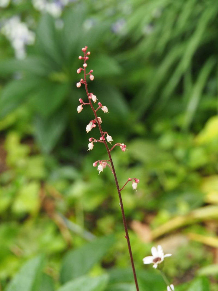 P5303071