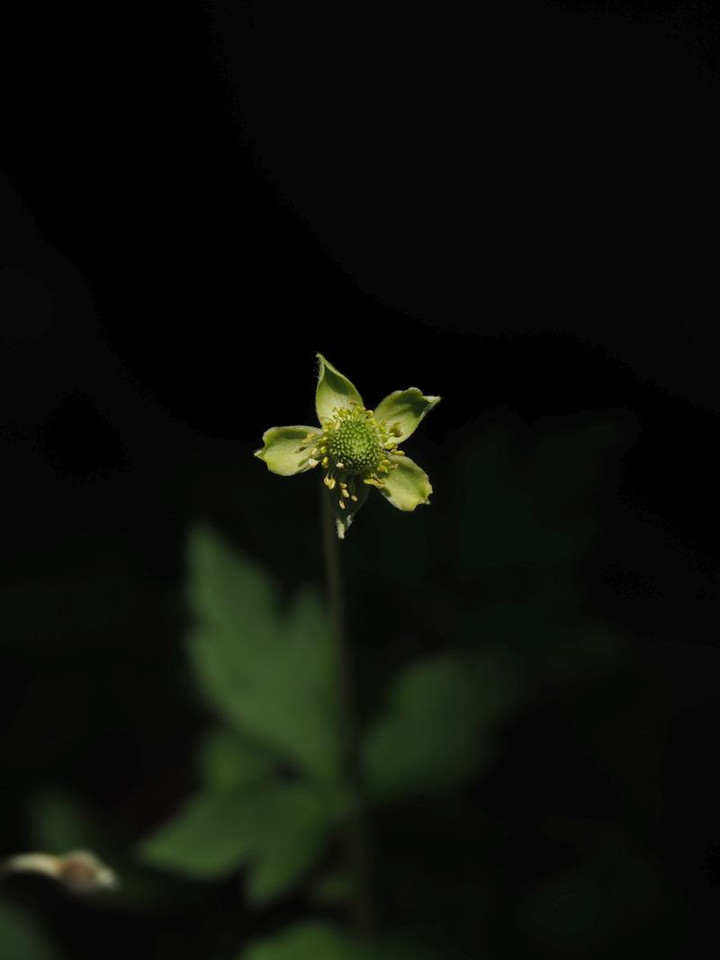 P6023164