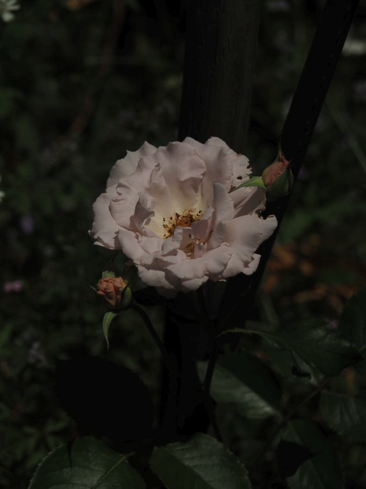 P6023170