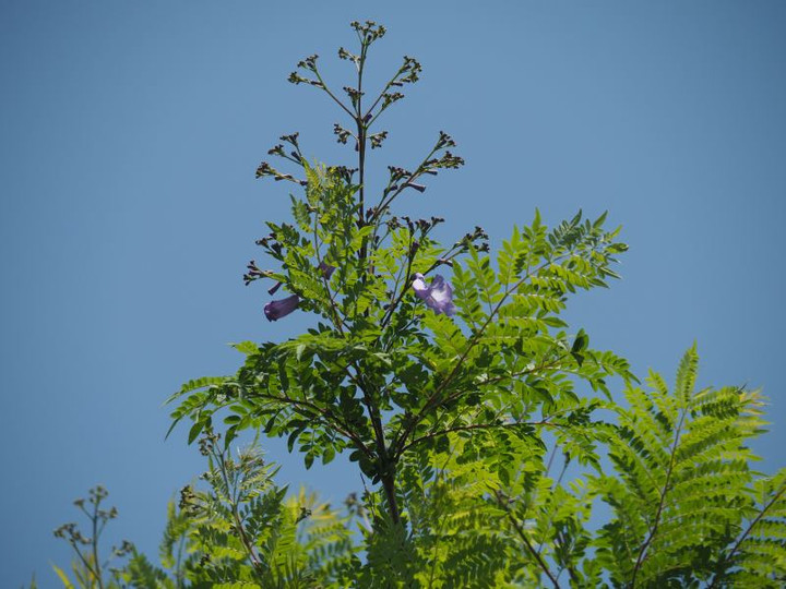 P6023173