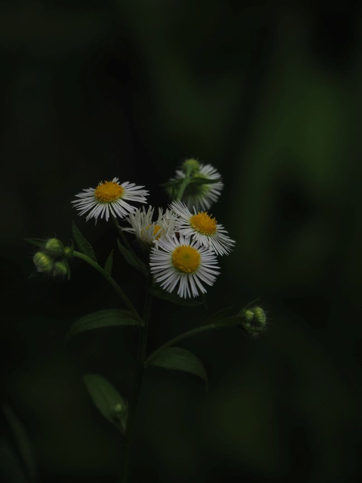P6033201