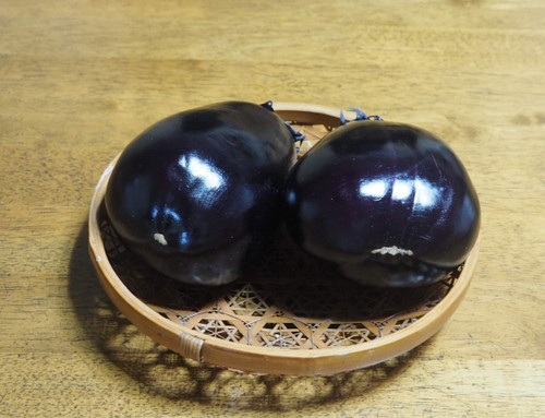 P9121938jpg