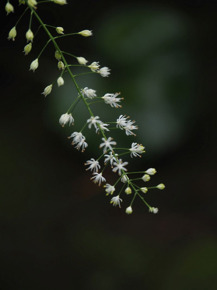 P7106031