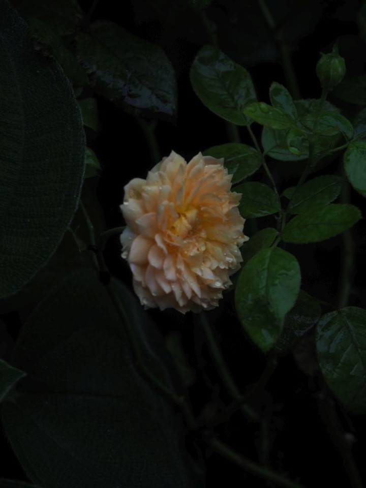 P7116055
