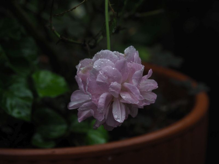 P7116056
