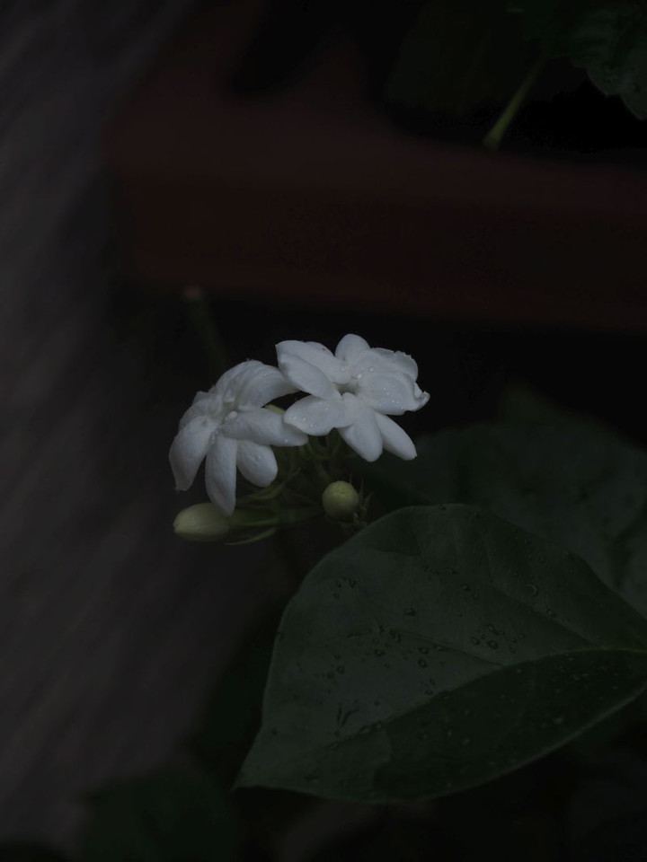 P7116057