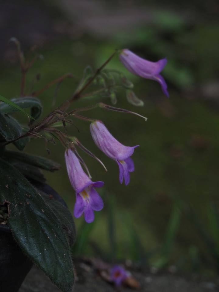 P7126060